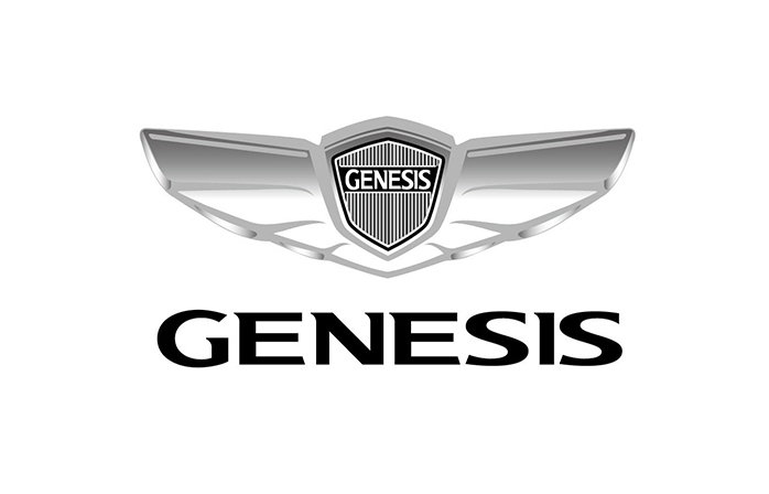 Hyundai Genesis Oto Cam