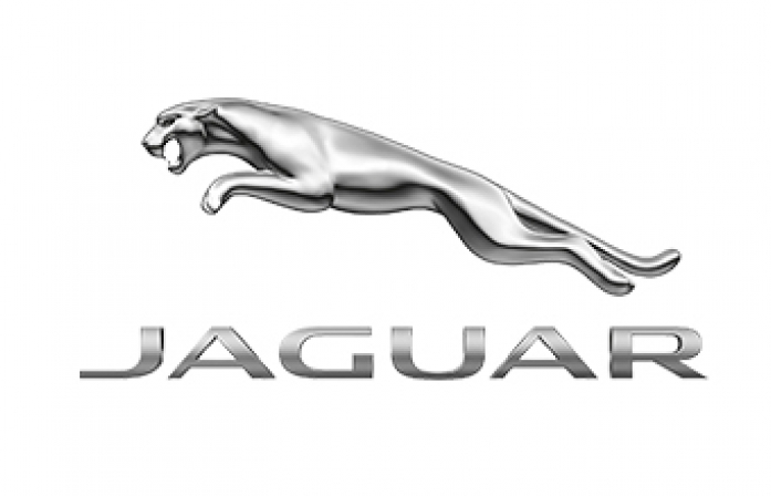 Jaguar Oto Cam Grupları